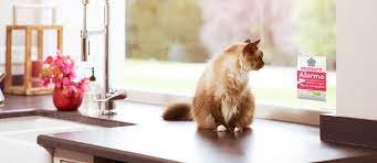 Comment choisir son système d'alarme quand on a un animal domestique alarme maison avec animaux